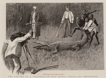 The Capture of a Crocodile in East Africa, Taking his Photograph